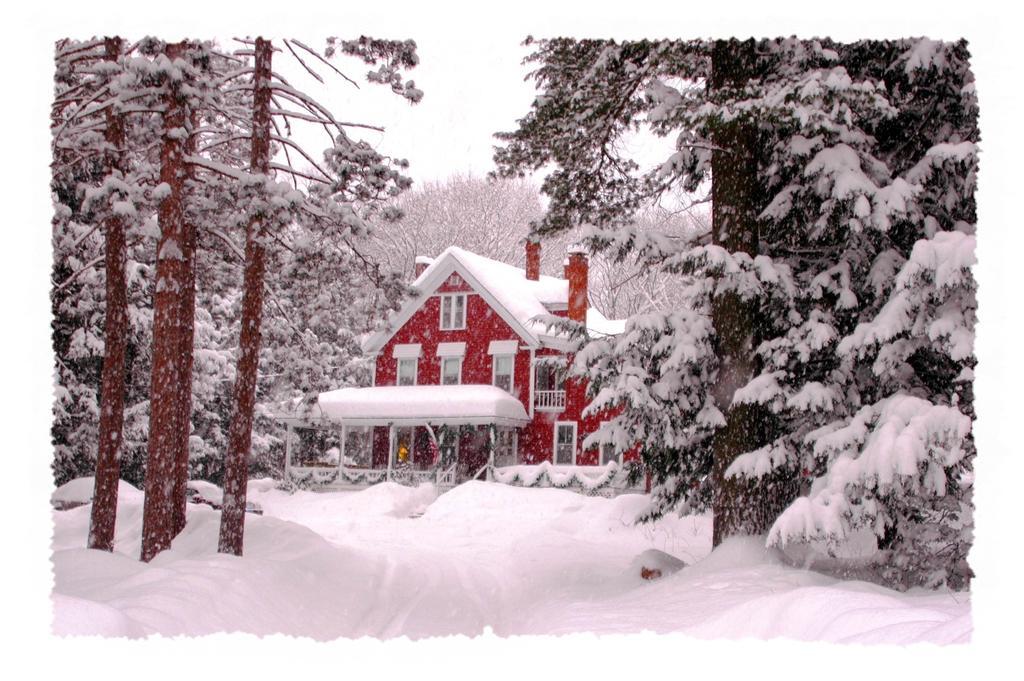 Bartlett Inn Eksteriør billede